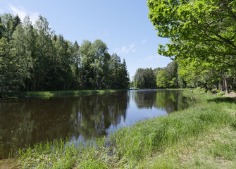 Swedish river and natural salmon area in summer