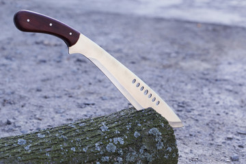 machete stuck in stump