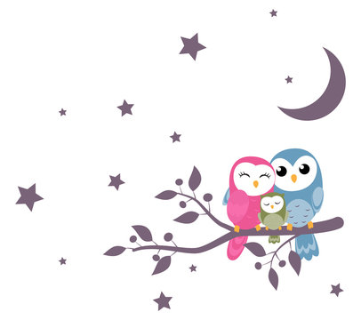 couples of owls family sitting on night scene