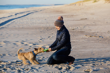 Beautiful girl in a knitted hat playing with a lakeland terrier dog on the beach at sunset