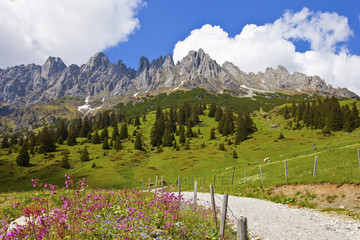 Die Mandlwand Hochknig Mit Rosa