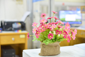 flowers in office