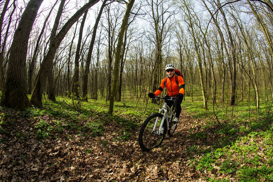 Cyclist Riding the Bike in Beautiful Spring Forest