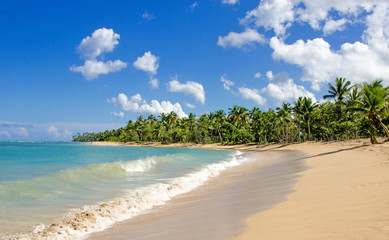 Traumurlaub an einem einsamen Strand in der Karibik :)