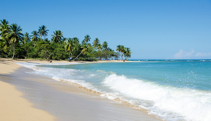 Fototapeta na wymiar Traumurlaub an einem einsamen Strand in der Karibik :)