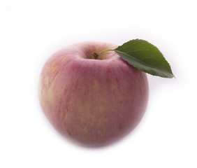 pink apple isolated