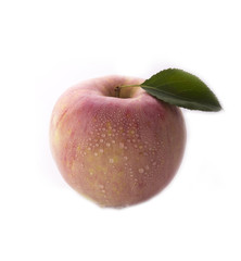 pink apple isolated