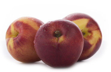 nectarines isolated 