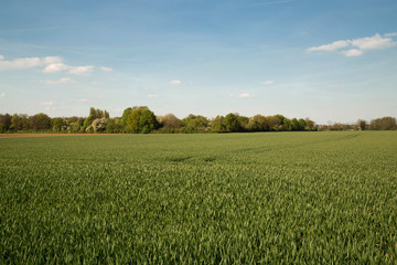 Obraz premium landscape countryside