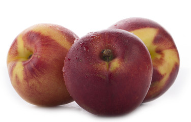 nectarines isolated 