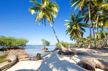 Foto auf Alu-Dibond Traumurlaub in der Karibik: Auszeit, Entspannung, Wellness :) © doris oberfrank-list