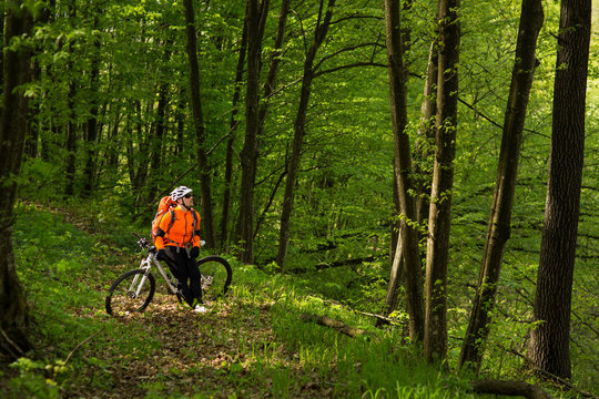 Cyclist Riding the Bike on a Trail in Summer Forest