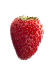 strawberry isolated