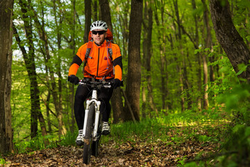 Cyclist Riding the Bike on a Trail in Summer Forest