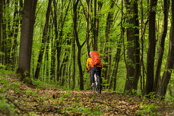 Fototapeta na wymiar Cyclist Riding the Bike on a Trail in Summer Forest