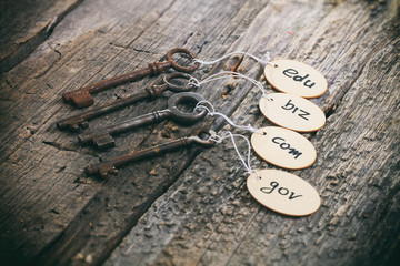 Wooden tags with domain names on old rusty keys, on wooden surface.