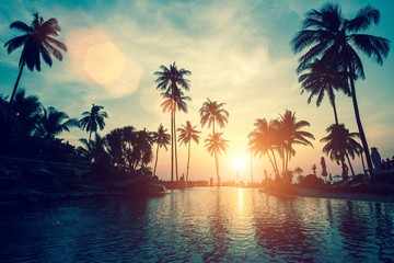 Naklejka na ściany i meble Soft sunset on a palm tree tropical sea beach.