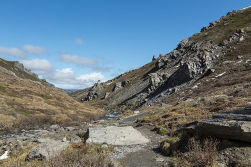 Denali's Savage River