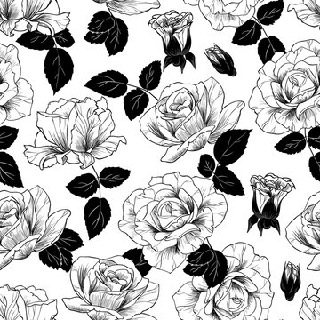 Black and white rosesvector seamless pattern 