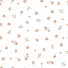 .Delicate pattern in small flower. White background.