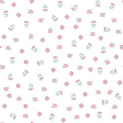 .Delicate pattern in small flower. White background.