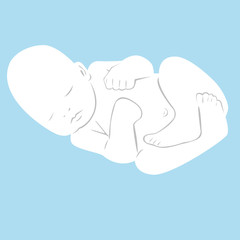 newborn sleeps, vector  baby
