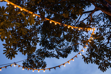 garland bulbs in the street