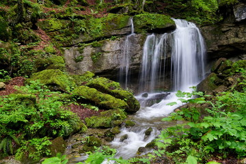 Plakat Kleiner Wasserfall im Wald mit Moos auf Steinen