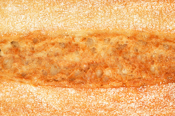 Freshly baked loaf of traditional italian bread ciabatta. Design element for bakery product label, catalog print, web use. Top view.