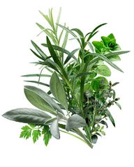 Foto op Aluminium Herbes de Provence (combination of herbs) © maxsol7