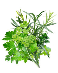 Herbes de Provence (combination of herbs)
