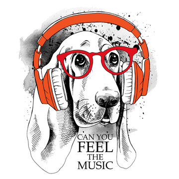 The image dog Basset Hound portrait in the headphones. Vector illustration.