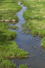 Small rivulet, brook in fields