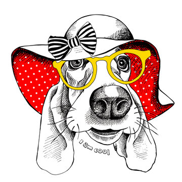 The poster with the portrait of the dog Basset Hound wearing the summer sun hat with bow. Vector illustration.