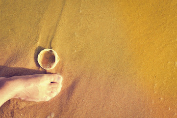 Fototapeta na wymiar Beach outdoors background - feet and sea shell. Ideas for summer vacation
