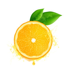 Vector orange slice with leaves and watercolor drops effect