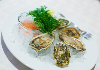 Oysters on the plate with lemon