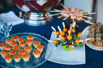 Beautifully decorated catering banquet table with different food snacks and appetizers with sandwich, caviar, fresh fruits on corporate christmas birthday kids party event or wedding celebration