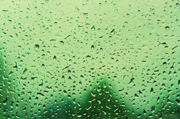 Rainy wet green eco seasonal summer natural blurred background with water drops