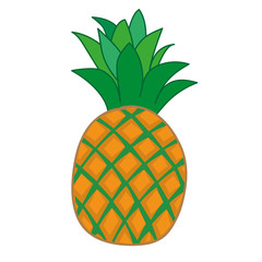 Pineapple. Vector illustration.