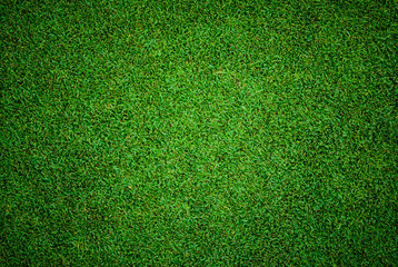 Beautiful green grass pattern from golf course