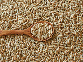 Dry Raw Rye Grain with a spoon