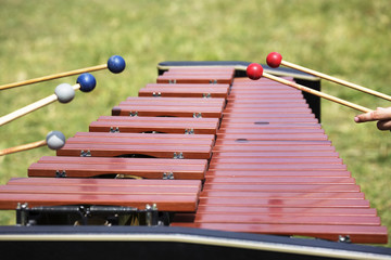 Xylophone with playing hands. Red xylophone for marimba. Music percussion instrument on grass...