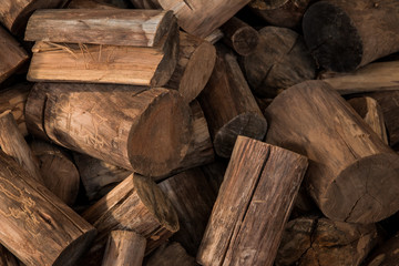 wood seamless background with stumps, tree cuts, logs, ecology background