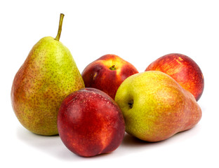 pears and nectarines on a white background
