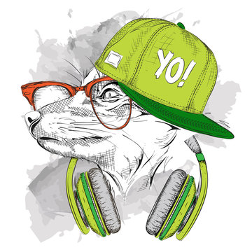 The image of the fox in the glasses, headphones and in hip-hop hat. Vector illustration.
