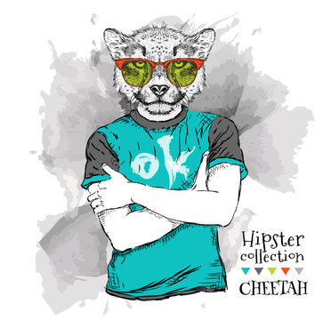 Illustration of cheetah hipster dressed up in t-shirt and  in the glasses. Vector illustration.