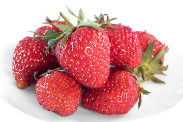 fraises bio du potager en gros plan