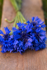beautiful bouquet of cornflowers