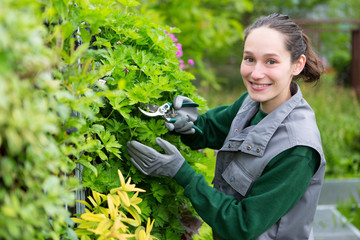 Young attractive woman working in a public garden